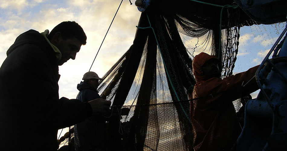 Protocolo entre Associação Nacional de Conservas e Organização de Produtores da Pesca do Cerco