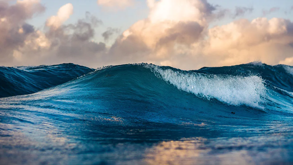 Foto de Silas Baisch na Unsplash