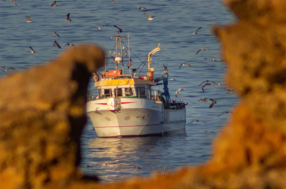 Fotografia da traineira "Flor do Burgau", de Fábio Mateus, por Rafaela Guerreiro